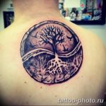 Фото рисунка тату Инь-Янь 08.11.2018 №218 - photo tattoo Yin-Yang - tattoo-photo.ru