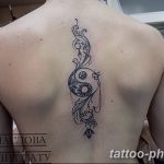 Фото рисунка тату Инь-Янь 08.11.2018 №257 - photo tattoo Yin-Yang - tattoo-photo.ru