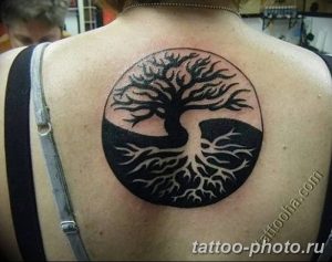 Фото рисунка тату Инь-Янь 08.11.2018 №281 - photo tattoo Yin-Yang - tattoo-photo.ru