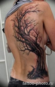 Фото рисунка тату дерево 07.11.2018 №003 - photo tattoo tree - tattoo-photo.ru