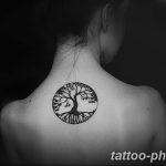 Фото рисунка тату дерево 07.11.2018 №005 - photo tattoo tree - tattoo-photo.ru