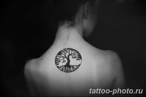 Фото рисунка тату дерево 07.11.2018 №005 - photo tattoo tree - tattoo-photo.ru