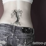 Фото рисунка тату дерево 07.11.2018 №022 - photo tattoo tree - tattoo-photo.ru