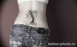 Фото рисунка тату дерево 07.11.2018 №022 - photo tattoo tree - tattoo-photo.ru