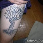 Фото рисунка тату дерево 07.11.2018 №023 - photo tattoo tree - tattoo-photo.ru