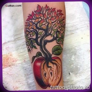 Фото рисунка тату дерево 07.11.2018 №028 - photo tattoo tree - tattoo-photo.ru