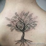 Фото рисунка тату дерево 07.11.2018 №031 - photo tattoo tree - tattoo-photo.ru