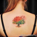 Фото рисунка тату дерево 07.11.2018 №033 - photo tattoo tree - tattoo-photo.ru