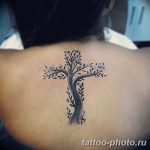 Фото рисунка тату дерево 07.11.2018 №034 - photo tattoo tree - tattoo-photo.ru