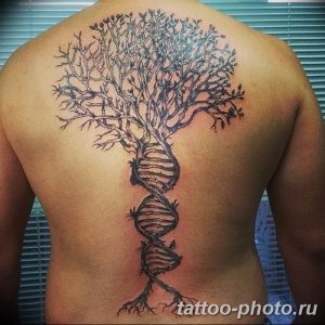 Фото рисунка тату дерево 07.11.2018 №036 - photo tattoo tree - tattoo-photo.ru