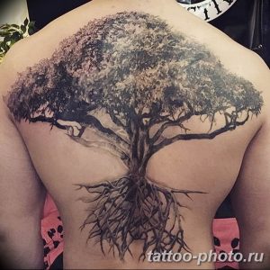 Фото рисунка тату дерево 07.11.2018 №038 - photo tattoo tree - tattoo-photo.ru