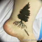 Фото рисунка тату дерево 07.11.2018 №042 - photo tattoo tree - tattoo-photo.ru