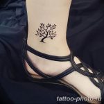 Фото рисунка тату дерево 07.11.2018 №043 - photo tattoo tree - tattoo-photo.ru