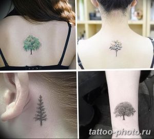 Фото рисунка тату дерево 07.11.2018 №046 - photo tattoo tree - tattoo-photo.ru