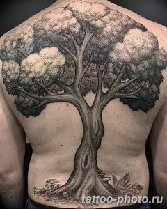 Фото рисунка тату дерево 07.11.2018 №049 - photo tattoo tree - tattoo-photo.ru