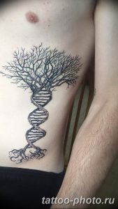 Фото рисунка тату дерево 07.11.2018 №055 - photo tattoo tree - tattoo-photo.ru