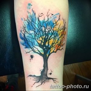 Фото рисунка тату дерево 07.11.2018 №057 - photo tattoo tree - tattoo-photo.ru