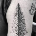 Фото рисунка тату дерево 07.11.2018 №058 - photo tattoo tree - tattoo-photo.ru