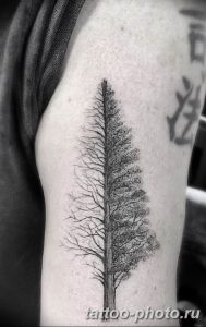 Фото рисунка тату дерево 07.11.2018 №058 - photo tattoo tree - tattoo-photo.ru