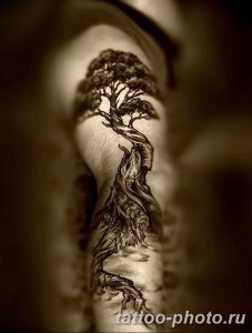 Фото рисунка тату дерево 07.11.2018 №061 - photo tattoo tree - tattoo-photo.ru