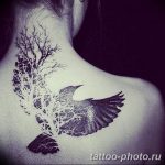 Фото рисунка тату дерево 07.11.2018 №062 - photo tattoo tree - tattoo-photo.ru