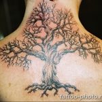 Фото рисунка тату дерево 07.11.2018 №066 - photo tattoo tree - tattoo-photo.ru