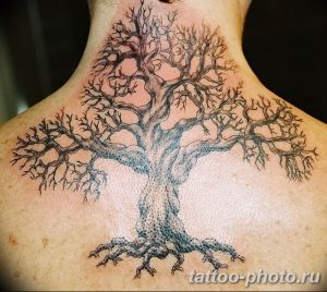 Фото рисунка тату дерево 07.11.2018 №066 - photo tattoo tree - tattoo-photo.ru