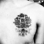 Фото рисунка тату дерево 07.11.2018 №071 - photo tattoo tree - tattoo-photo.ru