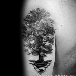 Фото рисунка тату дерево 07.11.2018 №072 - photo tattoo tree - tattoo-photo.ru