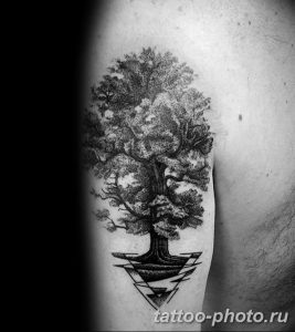 Фото рисунка тату дерево 07.11.2018 №072 - photo tattoo tree - tattoo-photo.ru