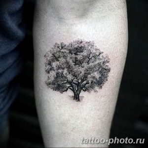 Фото рисунка тату дерево 07.11.2018 №073 - photo tattoo tree - tattoo-photo.ru