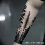 Фото рисунка тату дерево 07.11.2018 №074 - photo tattoo tree - tattoo-photo.ru