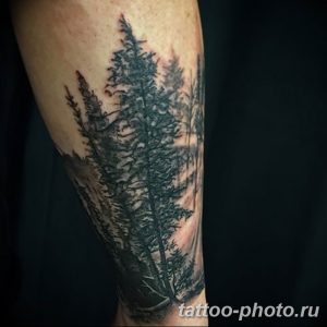 Фото рисунка тату дерево 07.11.2018 №078 - photo tattoo tree - tattoo-photo.ru