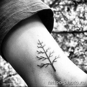 Фото рисунка тату дерево 07.11.2018 №080 - photo tattoo tree - tattoo-photo.ru