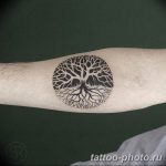 Фото рисунка тату дерево 07.11.2018 №081 - photo tattoo tree - tattoo-photo.ru