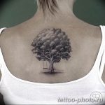 Фото рисунка тату дерево 07.11.2018 №086 - photo tattoo tree - tattoo-photo.ru