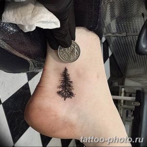 Фото рисунка тату дерево 07.11.2018 №087 - photo tattoo tree - tattoo-photo.ru