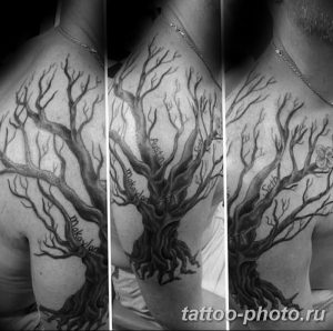 Фото рисунка тату дерево 07.11.2018 №090 - photo tattoo tree - tattoo-photo.ru