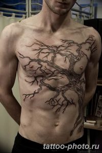 Фото рисунка тату дерево 07.11.2018 №091 - photo tattoo tree - tattoo-photo.ru