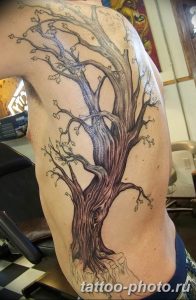 Фото рисунка тату дерево 07.11.2018 №093 - photo tattoo tree - tattoo-photo.ru