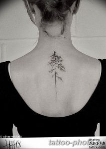 Фото рисунка тату дерево 07.11.2018 №094 - photo tattoo tree - tattoo-photo.ru