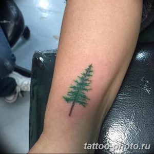 Фото рисунка тату дерево 07.11.2018 №099 - photo tattoo tree - tattoo-photo.ru