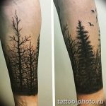 Фото рисунка тату дерево 07.11.2018 №104 - photo tattoo tree - tattoo-photo.ru