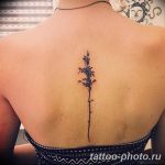 Фото рисунка тату дерево 07.11.2018 №106 - photo tattoo tree - tattoo-photo.ru