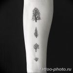 Фото рисунка тату дерево 07.11.2018 №107 - photo tattoo tree - tattoo-photo.ru