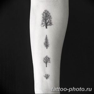 Фото рисунка тату дерево 07.11.2018 №107 - photo tattoo tree - tattoo-photo.ru