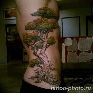 Фото рисунка тату дерево 07.11.2018 №108 - photo tattoo tree - tattoo-photo.ru