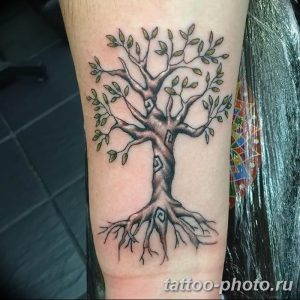 Фото рисунка тату дерево 07.11.2018 №112 - photo tattoo tree - tattoo-photo.ru