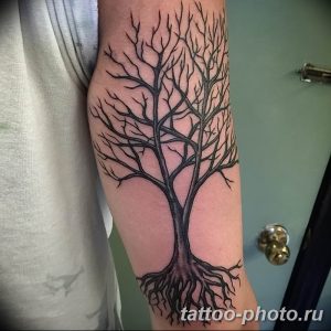 Фото рисунка тату дерево 07.11.2018 №113 - photo tattoo tree - tattoo-photo.ru