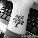 Фото рисунка тату дерево 07.11.2018 №121 - photo tattoo tree - tattoo-photo.ru